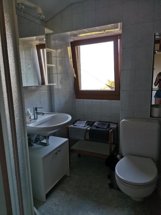 Chalet Alpine Apartment Sion Luaran gambar